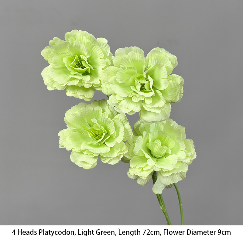 4 Heads Platycodon