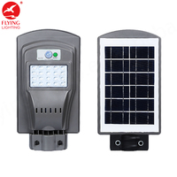 Meilleures ventes Alibaba Lampadaires solaires LED intégrés pour route Options 20W/40W/60W Certifiés CE/ROHS Indice de protection IP65 Garantie 2 ans