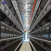 Cage à poules à batterie de type H à 8 niveaux superposés pour ferme avicole, capacité 22000 poules, solution agricole personnalisée, structure robuste en acier