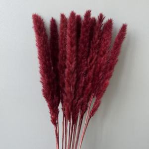 Rumput Pampas Langsung dari Pabrik 15Pcs/Pak Alami Kering Premium Ramah Lingkungan Tahan Lama Grosir Dekorasi Pernikahan Valentine - Product Image 5