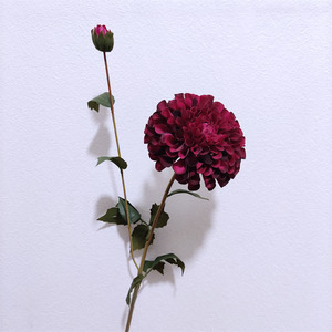 Hoa giả thiết kế mới Hoa Dahlia trang trí đám cưới Hoa lụa nhân tạo Trang trí nhà cửa đám cưới - Product Image 3