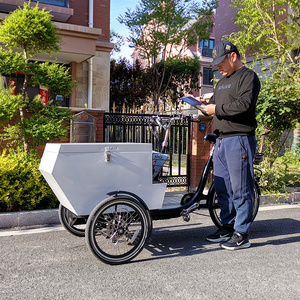 Tricycle <span class=keywords><strong>cargo</strong></span> pour enfants, personnalisé pour le transport de marchandises, très vendu en Europe, pour la livraison express, chariot porte-marchandises en aluminium, en vente - Product Image 2