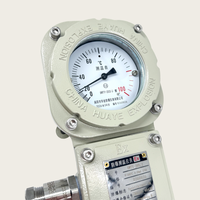 High Quality Explosion Proof IP66 DC24V Temperature Gauge Bearing Temperature Meter 0-200C 4-20mA Remote Reading Temperature