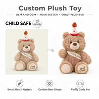 Usine OEM ODM : Peluche ours en peluche mignonne personnalisée avec chapeau de fête, poupée en peluche, animaux en peluche personnalisés, brodée, en coton PP