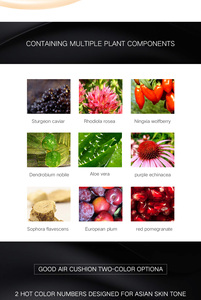 รองพื้นคูชั่นแบบ2-in-1ควบคุมความมันเพื่อผิวขาวดูแลผิวแต่งหน้าคอนซีลเลอร์แบบเหลว - Product Image 6