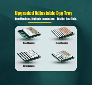 Incubadora de Huevos Totalmente Automática, Gran Capacidad de 50 a 50,000 Huevos, Apta para Pollos, Patos, Codornices y Loros - Product Image 5