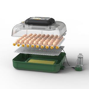 Incubadora de Huevos Automática de Doble Potencia 220V/110V/12V, Capacidad para <span class=keywords><strong>116</strong></span> Huevos, Máquina para Incubar Pollos - Product Image 3