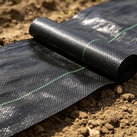 Fournisseur en gros de tapis de couverture de sol de haute qualité pour la plantation de tomates, toile de pépinière, allée de serre et parterre de roses