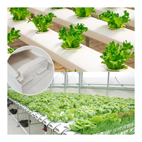 Kit de système hydroponique NFT multicouche pour serre, avec canaux de drainage en PVC, pour jardinage hydroponique, à vendre