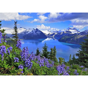 <span class=keywords><strong>Peinture</strong></span> de diamant 5D à mosaïque de paysage de <span class=keywords><strong>montagne</strong></span> de neige, décoration de maison, à faire soi-même, prix de gros, 2019 - Product Image 2