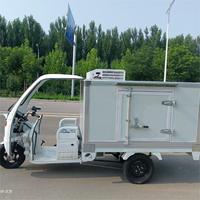 Tricycle Électrique de Restauration Rapide pour Crèmes Glacées, Remorque Mobile de Vente de Snacks à Carrosserie Fermée pour Centres Commerciaux, Événements et Parcs d'Attractions