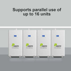 Batería de Pared de 200 Ah y 48 V, 10 kWh, Almacenamiento de Energía Doméstica, Iones de Litio, Optimizada para su Uso - Product Image 4