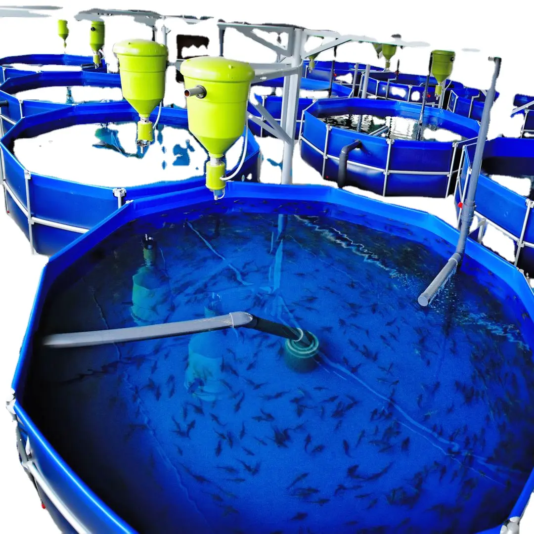 फैक्टरी प्रत्यक्ष बिक्री तिलापिया इनडोर मछली की खेती रीसर्क्युलेटिंग एक्वाकल्चर प्रणाली ras