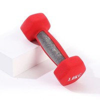 Haltères en plastique pour femmes, fitness à domicile, relaxation musculaire, petits haltères fins pour les bras, unisexe, pour étudiants et enfants