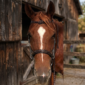 Bridon d'équitation anglais en cuir sur mesure avec frontale à nœud celtique |   Fabricant de matériel équestre haut de gamme - Product Image 3