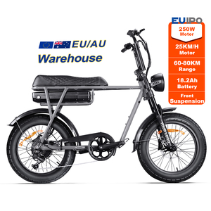 EU Warehouse 750W Mid-Drive Lithium Batterij Elektrische Multifunctionele Fiets Dubbele Vering Frame Vetband voor Volwassenen Multifunctioneel - Product Image 1