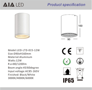 Không thấm nước IP65 thay đổi độ sáng hình TRỤ 40 wát <span class=keywords><strong>LED</strong></span> xuống ánh sáng phù hợp bên ngoài <span class=keywords><strong>Led</strong></span> trần đèn cho ban công khách sạn biệt thự - Product Image 6
