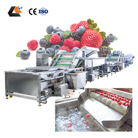 Kersen-tomaat vortex fruitwasmachine fruit sorteerder abrikozen sorteermachine bubbelwasser groente- en fruitreinigingslijn
