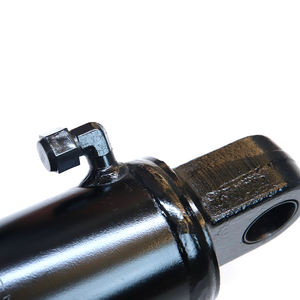 מלגזה חשמלי בוכנה מלגזה סוג הצילינדר הידראולי כפול משחק עם ציפוי כרום קשיח - Product Image 2