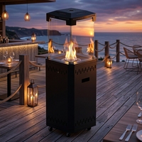 Chauffage extérieur au gaz pour restaurant, foyer au gaz autonome à flamme réelle, avec roues et verre trempé, pour terrasse, jardin, bar, usage commercial