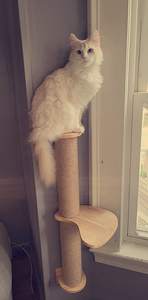 बिल्ली के पेड़ और खरोंच के लिए पेडल के साथ W-08 सिसल और लकड़ी के पर्यावरण के अनुकूल बड़ी बिल्ली खरोंच पोस्ट - Product Image 3