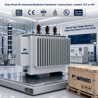 Transformateur immergé dans l'huile S11 500 kVA 10 kV vers 400 V en cuivre ONAN pour distribution en poste de transformation extérieur