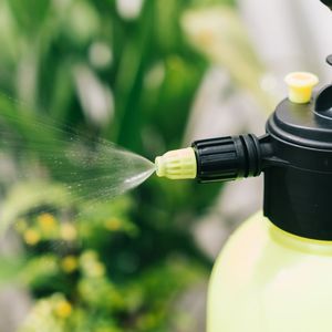 Machine de pulvérisation portative de <span class=keywords><strong>pulvérisateur</strong></span> de brouillard manuel de vente chaude 2L pour le jardin et l'agriculture du fabricant supérieur de <span class=keywords><strong>pulvérisateur</strong></span> - Product Image 2