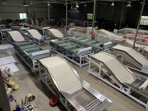 Machine de classement d'<span class=keywords><strong>oignon</strong></span> d'ail de 3 à 5 t/h, trieuse d'ampoule d'ail, machine de classement de tête d'ail - Product Image 4