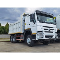 Camion benne basculante HOWO 6x4 économique avec grande caisse de chargement pour le transport d'agrégats et de terre
