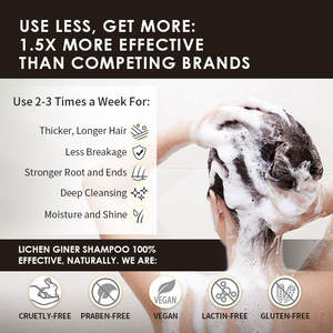 Lichen-champú y acondicionador <span class=keywords><strong>para</strong></span> el crecimiento <span class=keywords><strong>del</strong></span> <span class=keywords><strong>cabello</strong></span>, marca privada, anticaída de <span class=keywords><strong>cabello</strong></span>, jengibre - Product Image 6
