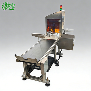 Máquina Automática de Rechazo de Caracteres OCR en Línea - Inspección Visual Inteligente para Bolsas de Embalaje/Cartón, Fecha/Lote - Product Image 5