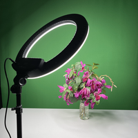 Anneau lumineux LED portable de 18 pouces pour appareil photo, 30 W, pour éclairage d'appoint et diffusion en direct, équipement pour une peau éclatante, prise de vue vidéo et selfies avec télécommande