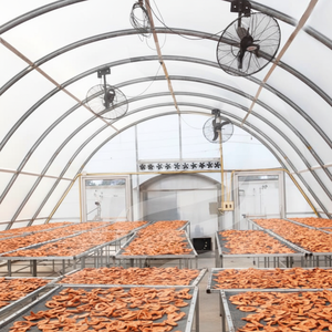 Film de serre durable pour les applications de séchage agricole, offrant une excellente transmission de la lumière et de la chaleur et une résistance aux UV - Product Image 1