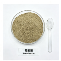 Acetobacter 10 milliards UFC/g Poudre de bactéries de qualité alimentaire Culture de démarrage pour l'oxydation de l'éthanol et la fermentation du vinaigre 25kg Kraft