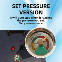 Compresseur d'air portable TUXING personnalisable 4500psi 300bar 30mpa 220v 110v à double cylindre pour sports de plein air, plongée sous-marine et chasse