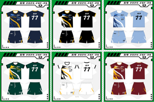 Ensemble Maillot et Short de Football Unisexe Personnalisé Nouvelle Saison 2026 – Séchage Rapide, Respirant, 100% Polyester – Vente en Gros - Product Image 2