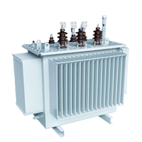 Transformateur immergé dans l'huile entièrement scellé de S13-M 10kV 27% perte à vide inférieure pour les sous-stations de centrales électriques industrielles