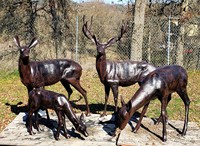 Vente flash : Statue de cerf en bronze grandeur nature pour jardin, en paire
