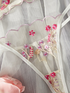 Wholesale Floral Embroidery Lace Lingerie <b>Set</b> <b>Sexy</b> Sheer Mesh Underwire Bra and Thong Panties <b>Set</b> 2 Piece Romantic Intimates <b>Set</b> - Product Image 5