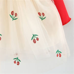 Robes pour filles de 3 ans pour le bal d'automne, vente d'usine de robes Amelia, articles à petite taille et à vente rapide - Product Image 3