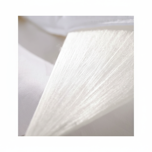 Vente chaude 100% nymphe de ver à soie biologique durable et respirant nourriture d'hôtel couettes en soie congelées du Vietnam - Product Image 1