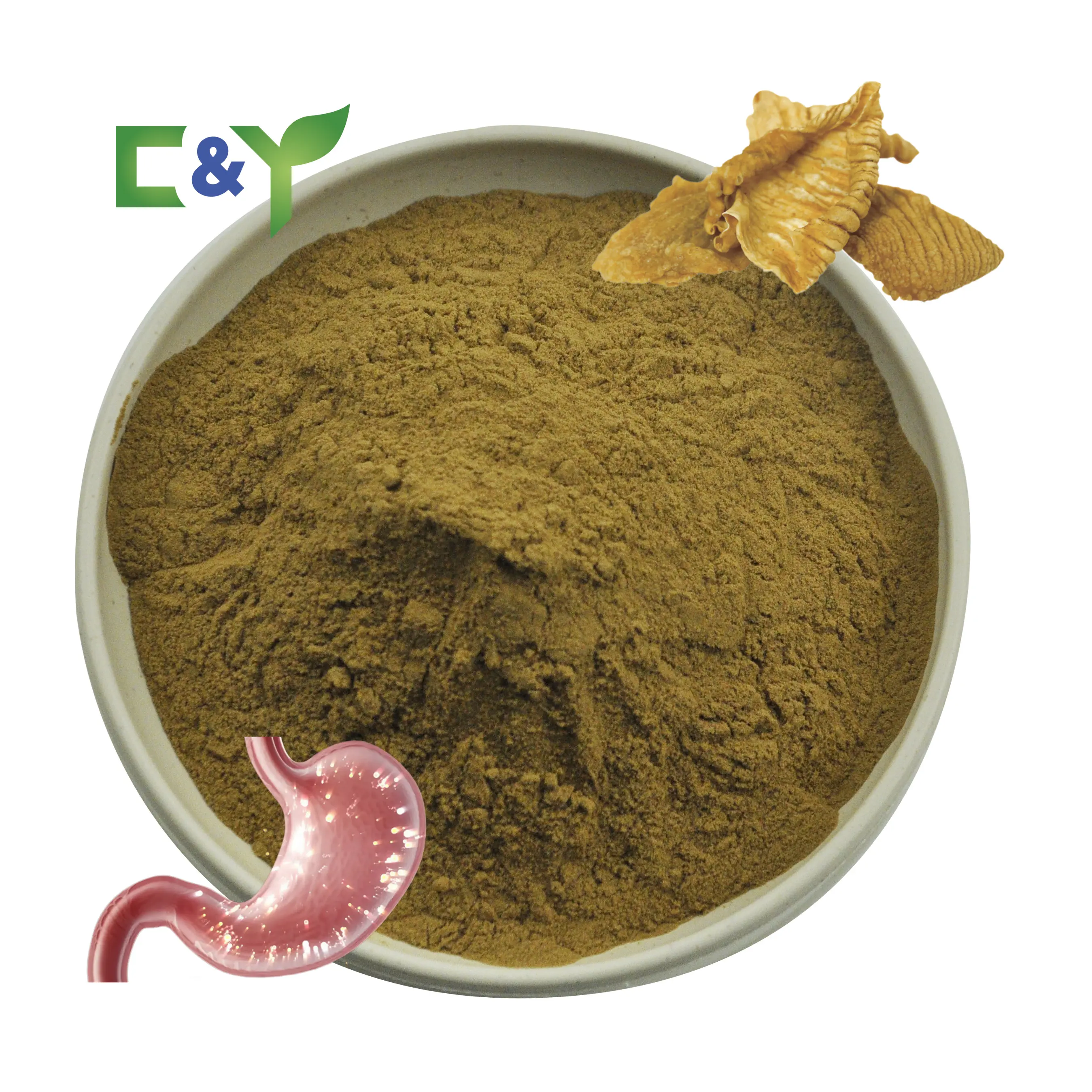 Manufacturer supply Chicken's Gizzard Membrane Chicken inner gold extract endothelium corneum gigeriae galli extract