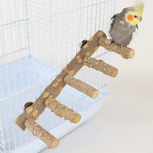Fábrica al por mayor loro Natural espinoso Fresno escalera de madera pájaro accesorios de juguete loro escalera soporte de madera pájaro <span class=keywords><strong>Parro</strong></span> Juguetes - Product Image 3