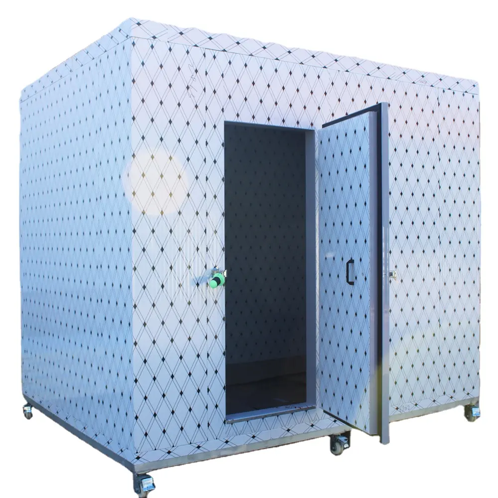 Chambre froide Conteneur réfrigéré Congélateur Salle de refroidissement de plain-pied pour l'entreposage frigorifique de la viande