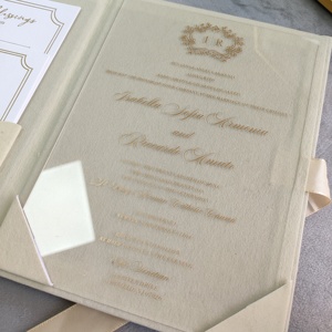 Suite d'invitations de mariage personnalisées en velours beige avec cartes en acrylique transparent et détails dorés – Ensemble d'invitations de mariage - Product Image 4