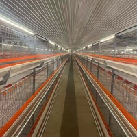 Cage à poulets HENGQI de type H entièrement automatique à 4 niveaux en acier galvanisé avec garantie de 2 ans