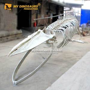 Mijn Dino <span class=keywords><strong>Aquarium</strong></span> Decor Levensgrote Blauwe Walvis Skelet Te Koop - Product Image 5