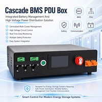 BMS Haute Tension 128S 192S 256S 400V 768V 1024V 400A 600A Maître Esclave Industriel ESS NTC GPS PC RS485 LiFePO4 Boîtier PDU Automatique