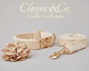 Conjunto de Collar y Correa de Encaje Color Marfil para Boda con Flor Desmontable para Mascotas Macho/Hembra, Porta-Allianzas Nupcial Dorado con Nombre Personalizado - Product Image 3