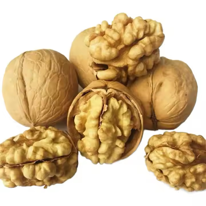 Raw White Pumpkin Seeds in Shell